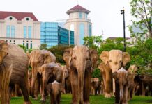 Top 20 Festivals & Events in Houston This Month: April 2025