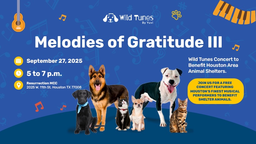 Wild Tunes- 3rd Annual Melodies of Gratitude Concert at Resurrection MCC