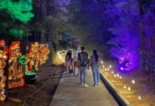 Plan Your Weekend: October 23 to 26, 2025