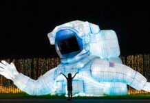 Plan Your Weekend: November 13 to 16, 2025