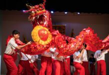 Celebrate the Year of the Horse at CCC’s free 2026 Lunar New Year Festival