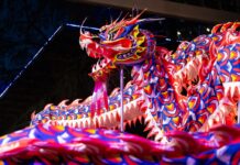 Year of the Horse: Lunar New Year 2026 Celebrations & Events in Houston