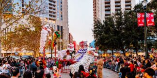 Plan Your Weekend: February 12 to 15, 2026