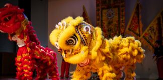 Top 22 Festivals & Events in Houston This Week: February 9 to 15, 2026