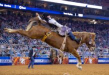 Plan Your Weekend: March 12 to 15, 2026