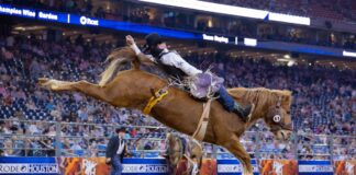 Plan Your Weekend: March 12 to 15, 2026