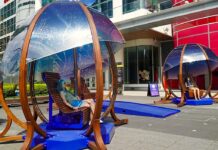 Plan Your Weekend: August 6 to 9, 2026
