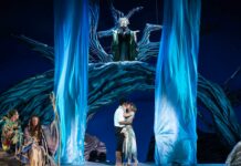 Top 14 Festivals & Events in Houston This Week: August 3 to 9, 2026