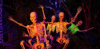 Houston Nightlife, Comedy & Date Nights This Week: October 12 to 18, 2026